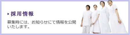 採用情報